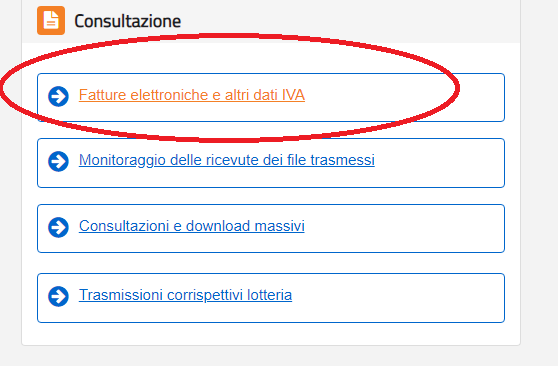c07f28c1_ControlloGuardiaFinanza3