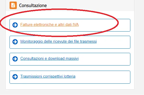 accesso fatture elettroniche e altri dati iva